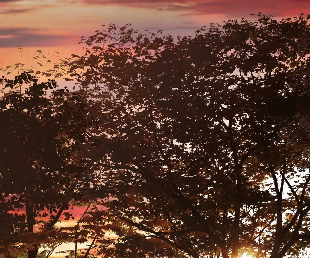  Accidental Love Chapter 68 Page 82