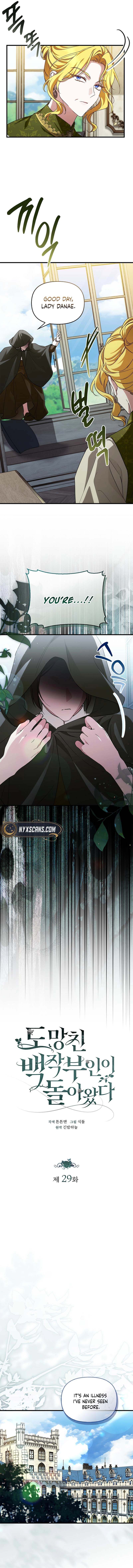 The Runaway Countess Has Returned Chapter 29 Page 8