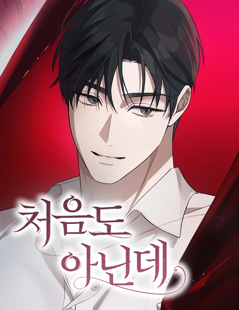 Cover of Not the First Time